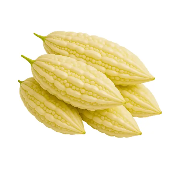 product_cleaned_1453_1761027381135.webp White Bitter Gourd
